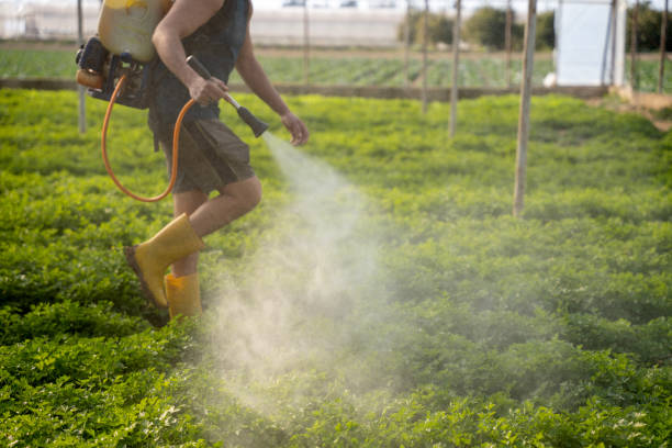 Best Ant Control Services  in Richville, OH