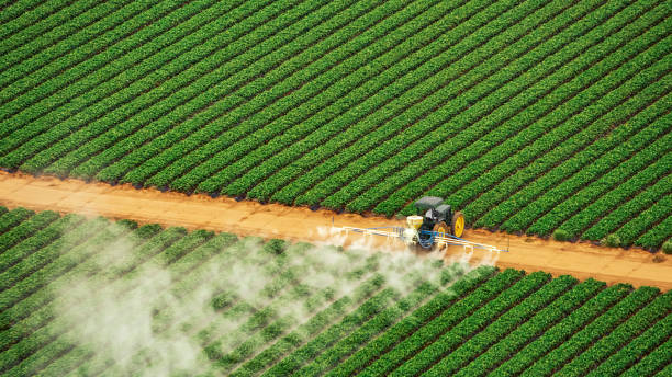 Best Pest Prevention Services  in Richville, OH