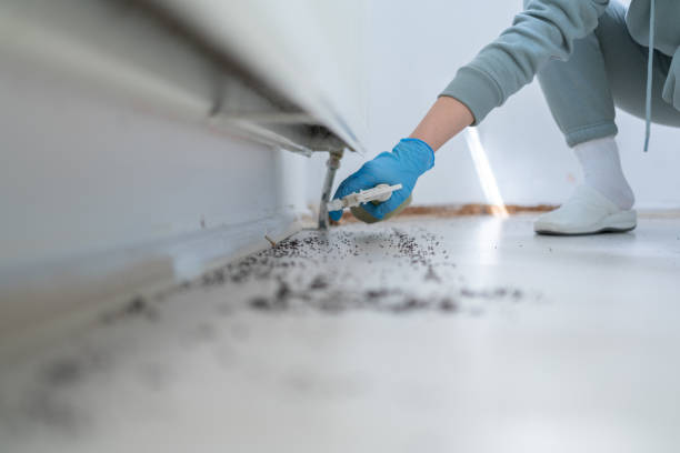 Best Pest Inspection Near Me  in Richville, OH