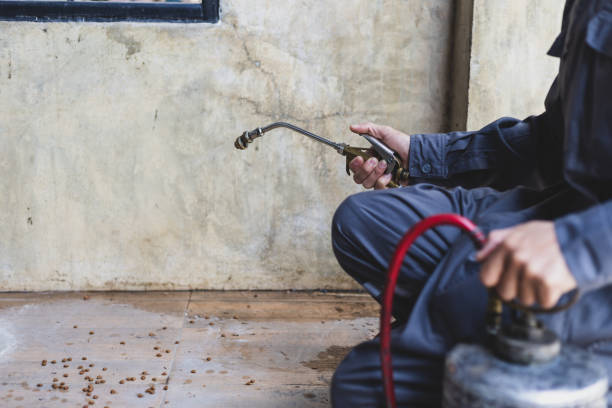 Best Best Pest Control Companies  in Richville, OH