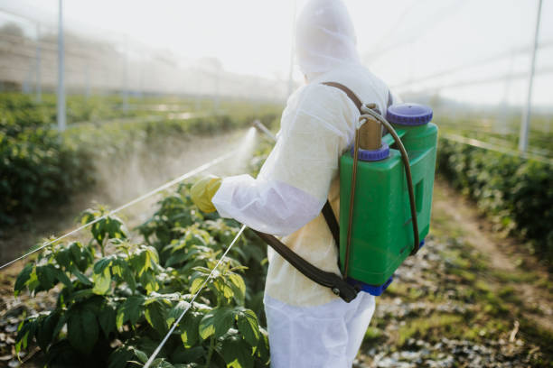 Best Pest Control Near Me in Richville, OH